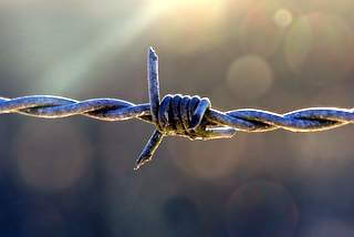 Barbed wire